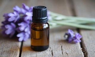 Olio Essenziale Lavanda Pura
